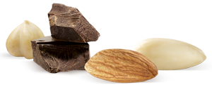 Sapori 1832