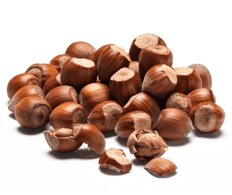Hazelnuts IGP Piemonte
